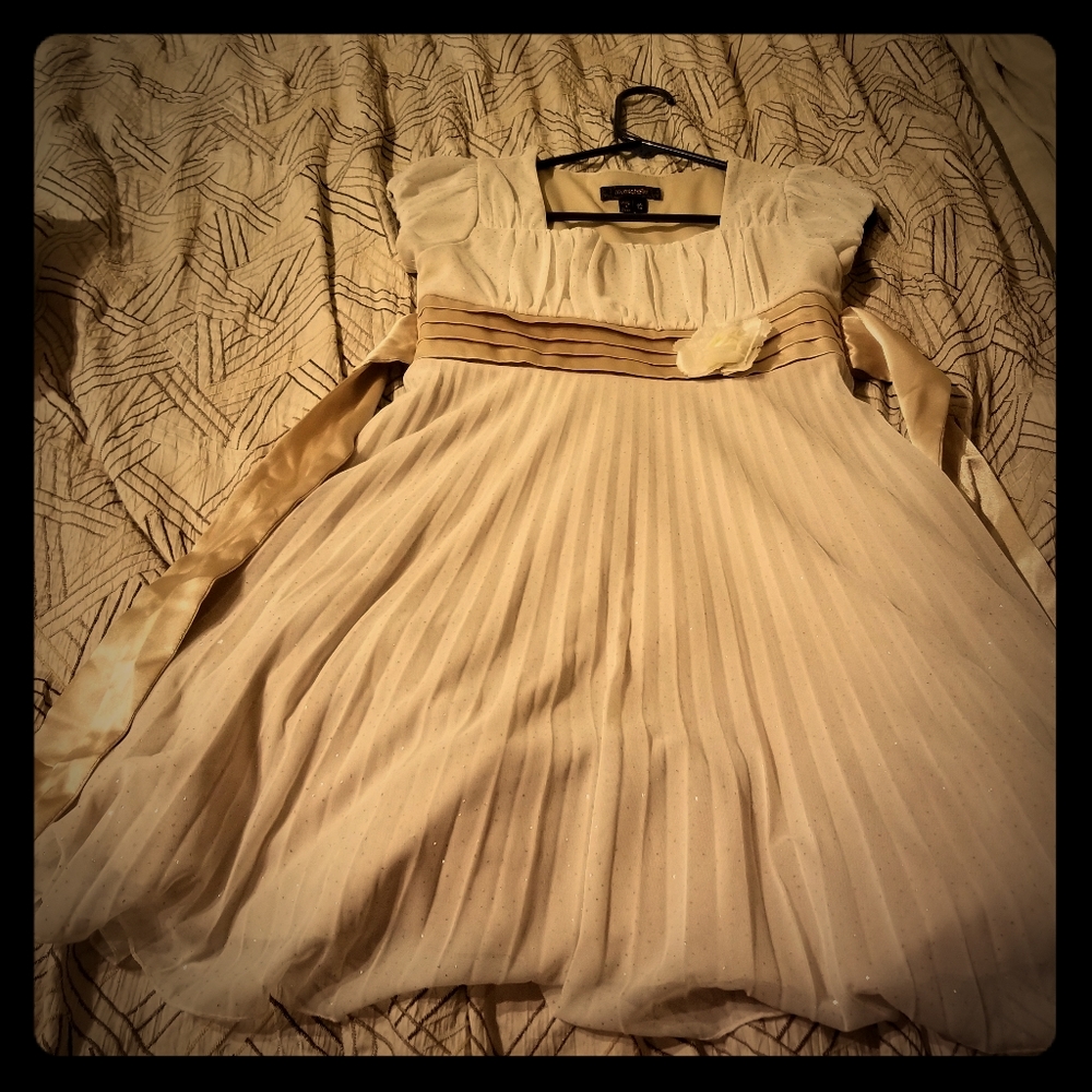 Girl's Formal dress size 12